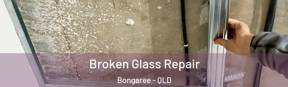 Broken Glass Repair Bongaree - QLD