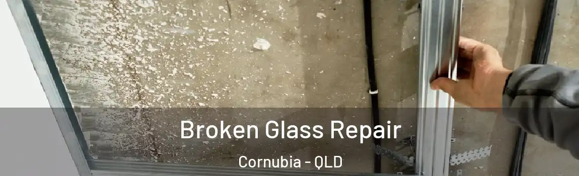 Broken Glass Repair Cornubia - QLD