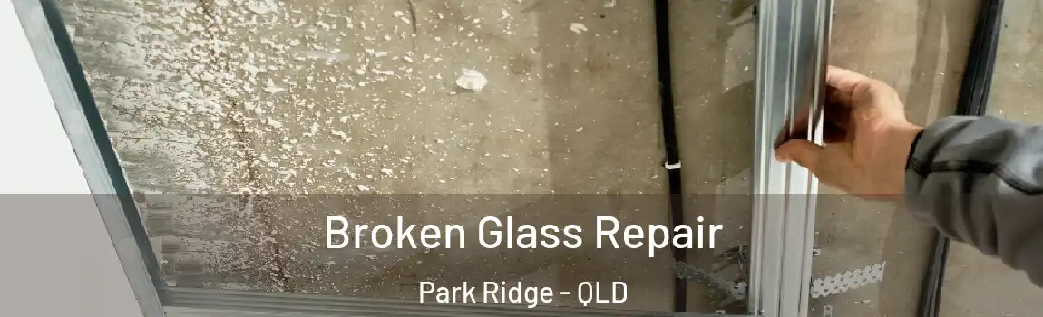 Broken Glass Repair Park Ridge - QLD