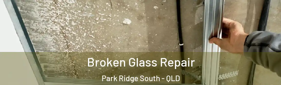 Broken Glass Repair Park Ridge South - QLD
