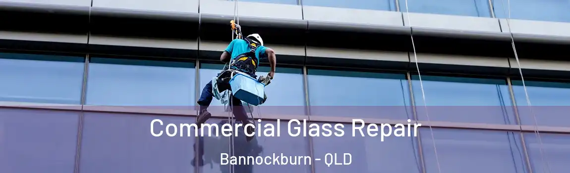 Commercial Glass Repair Bannockburn - QLD