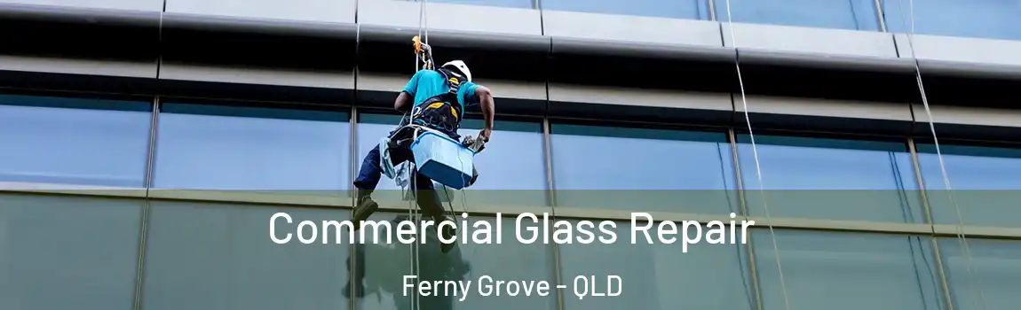 Commercial Glass Repair Ferny Grove - QLD