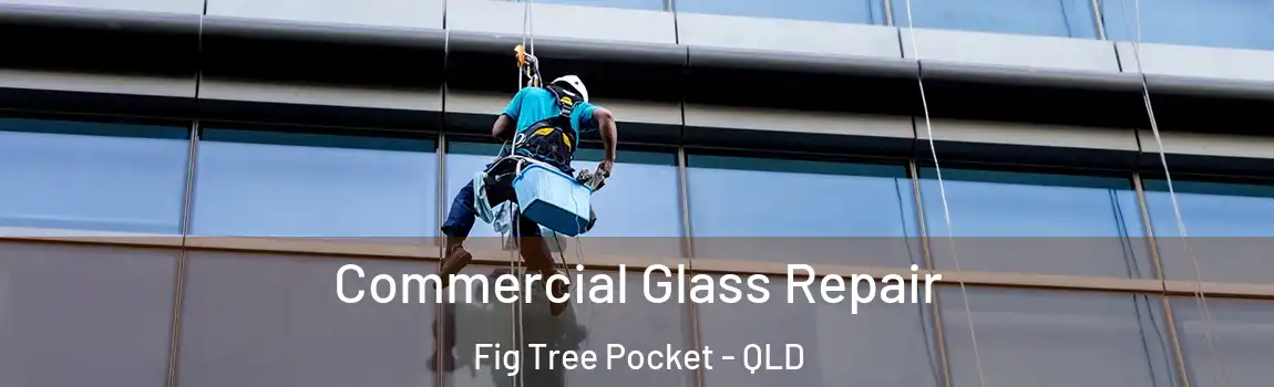 Commercial Glass Repair Fig Tree Pocket - QLD