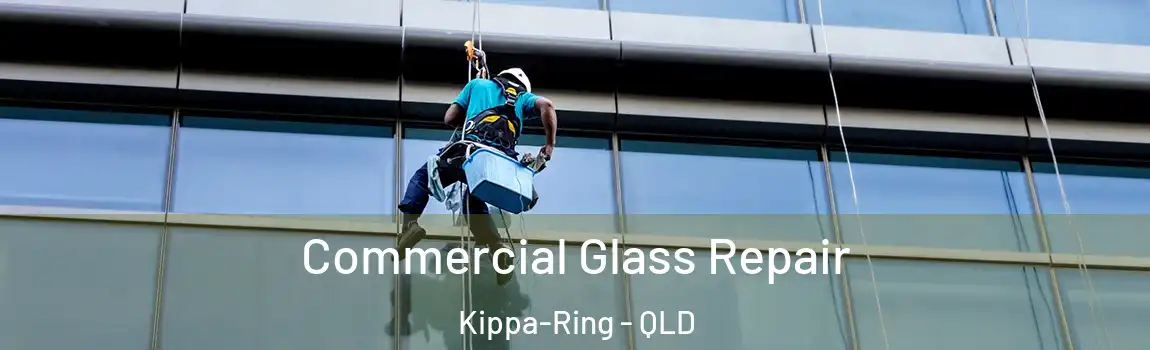 Commercial Glass Repair Kippa-Ring - QLD