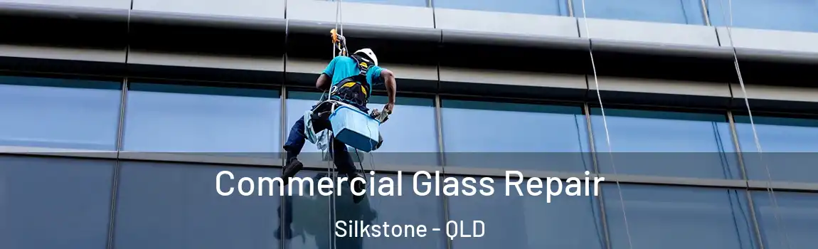 Commercial Glass Repair Silkstone - QLD