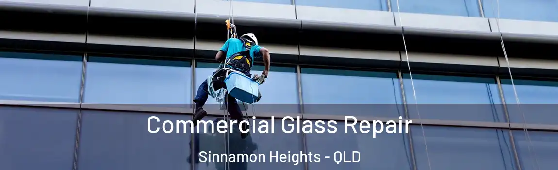 Commercial Glass Repair Sinnamon Heights - QLD