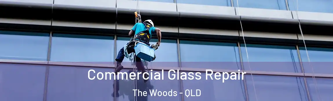 Commercial Glass Repair The Woods - QLD