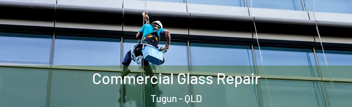 Commercial Glass Repair Tugun - QLD