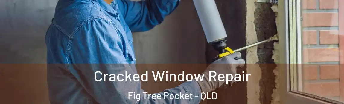 Cracked Window Repair Fig Tree Pocket - QLD