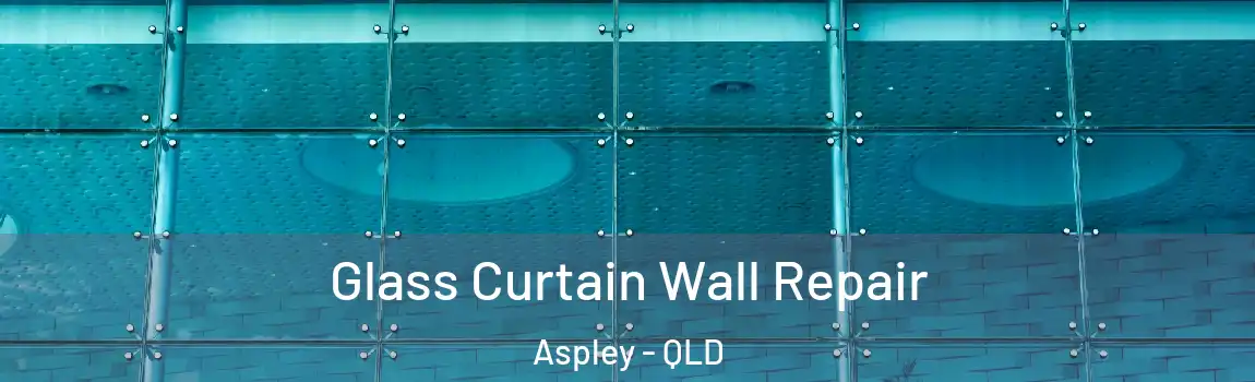 Glass Curtain Wall Repair Aspley - QLD