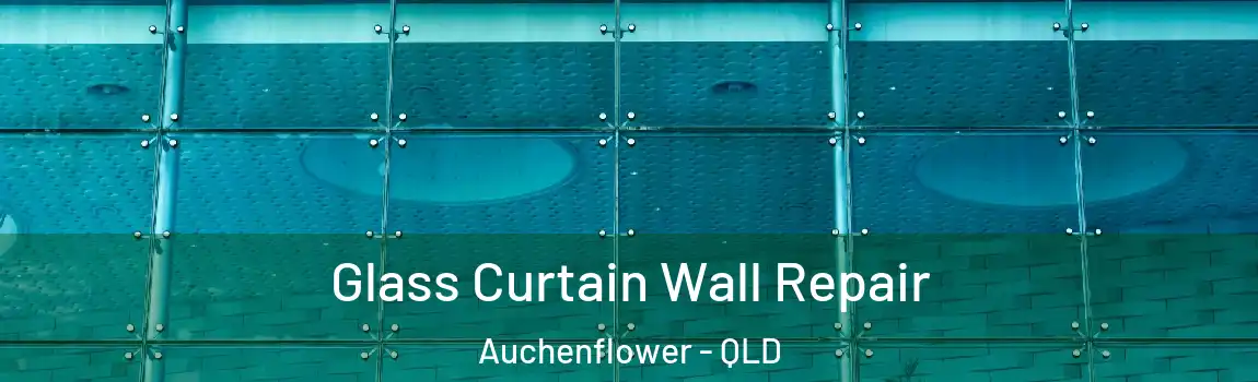 Glass Curtain Wall Repair Auchenflower - QLD