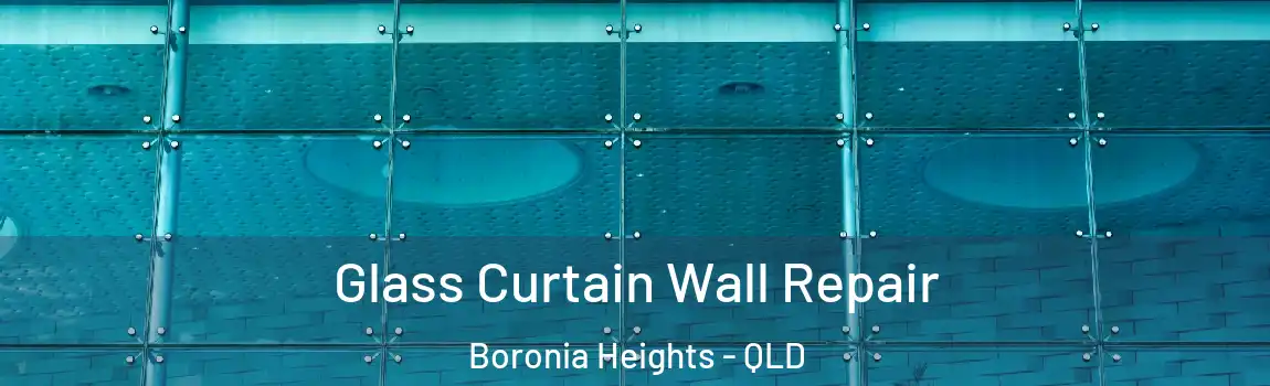 Glass Curtain Wall Repair Boronia Heights - QLD