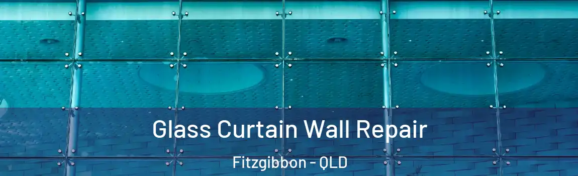 Glass Curtain Wall Repair Fitzgibbon - QLD