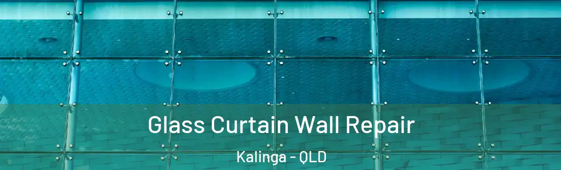 Glass Curtain Wall Repair Kalinga - QLD