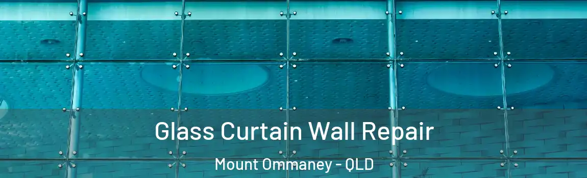 Glass Curtain Wall Repair Mount Ommaney - QLD
