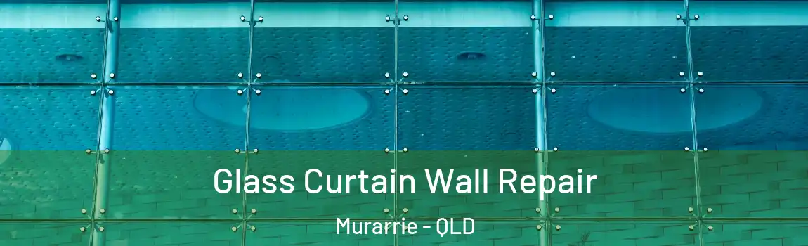 Glass Curtain Wall Repair Murarrie - QLD