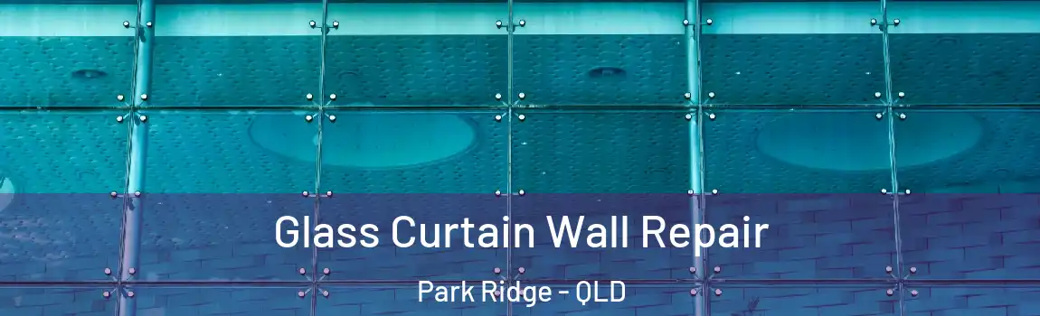 Glass Curtain Wall Repair Park Ridge - QLD