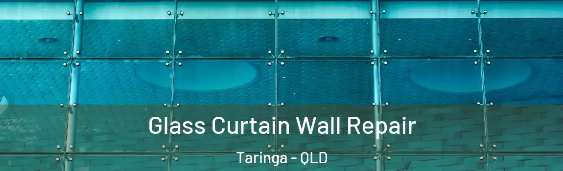 Glass Curtain Wall Repair Taringa - QLD