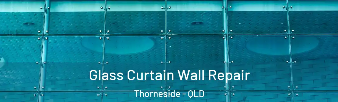 Glass Curtain Wall Repair Thorneside - QLD