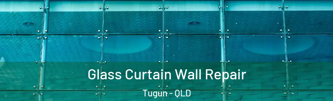 Glass Curtain Wall Repair Tugun - QLD
