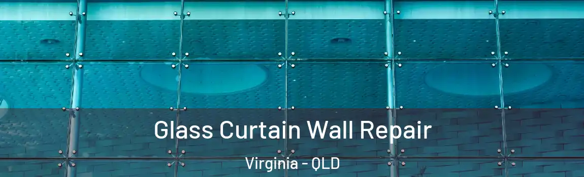 Glass Curtain Wall Repair Virginia - QLD