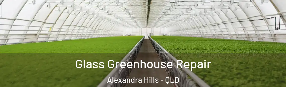 Glass Greenhouse Repair Alexandra Hills - QLD