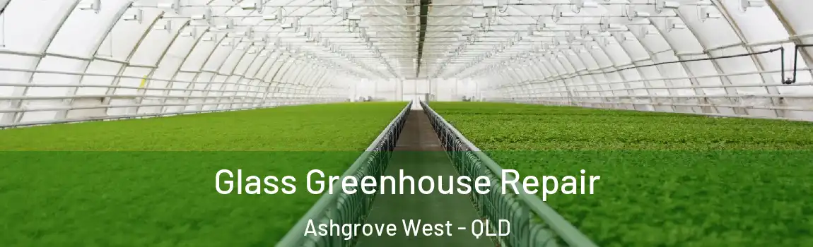 Glass Greenhouse Repair Ashgrove West - QLD