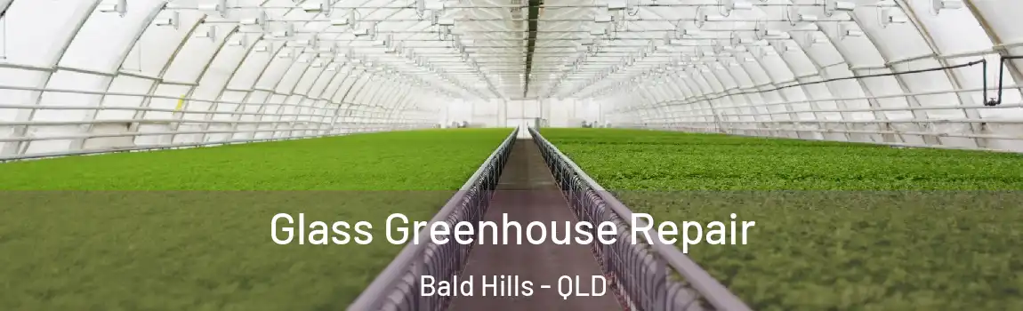 Glass Greenhouse Repair Bald Hills - QLD