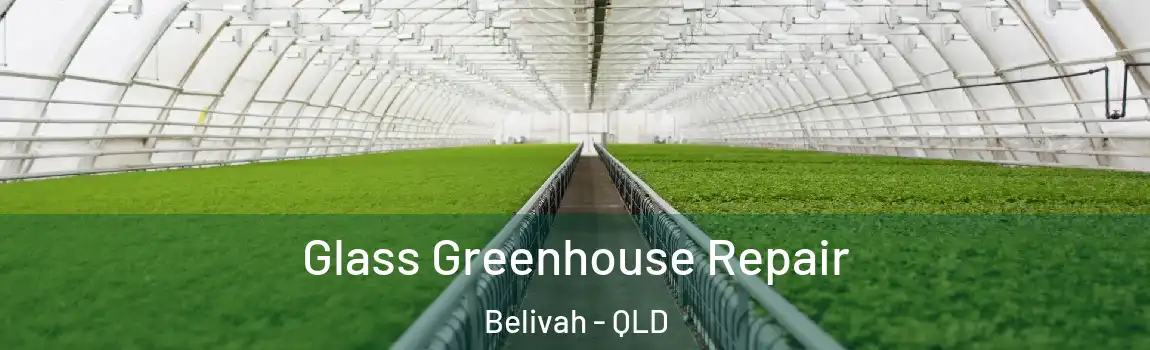  Glass Greenhouse Repair Belivah - QLD
