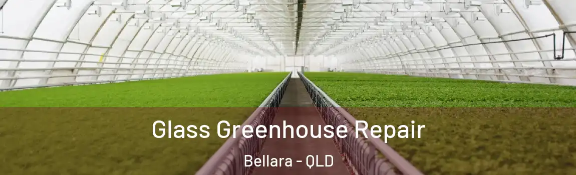  Glass Greenhouse Repair Bellara - QLD