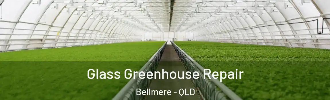 Glass Greenhouse Repair Bellmere - QLD