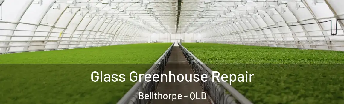Glass Greenhouse Repair Bellthorpe - QLD