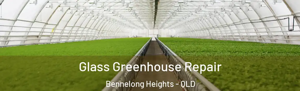 Glass Greenhouse Repair Bennelong Heights - QLD