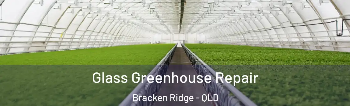 Glass Greenhouse Repair Bracken Ridge - QLD