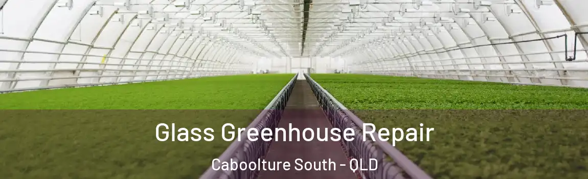  Glass Greenhouse Repair Caboolture South - QLD