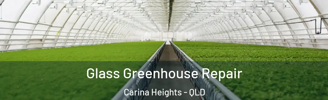 Glass Greenhouse Repair Carina Heights - QLD