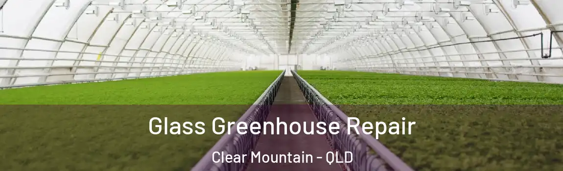 Glass Greenhouse Repair Clear Mountain - QLD