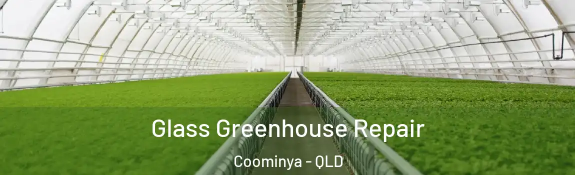 Glass Greenhouse Repair Coominya - QLD