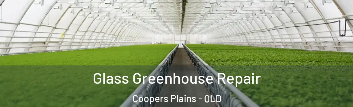 Glass Greenhouse Repair Coopers Plains - QLD
