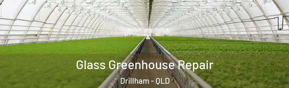 Glass Greenhouse Repair Drillham - QLD