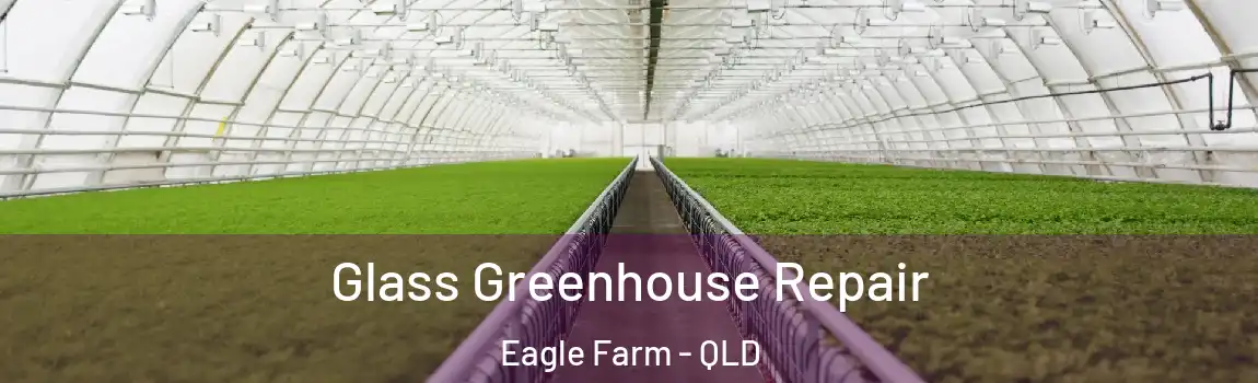 Glass Greenhouse Repair Eagle Farm - QLD