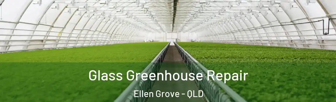 Glass Greenhouse Repair Ellen Grove - QLD