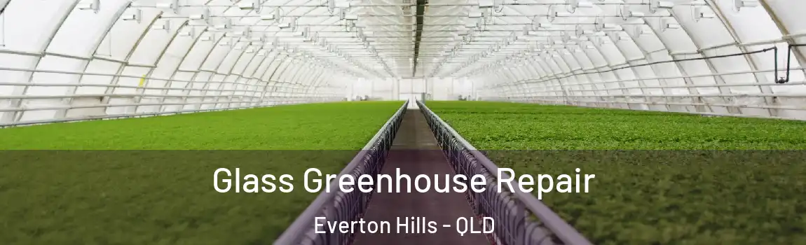Glass Greenhouse Repair Everton Hills - QLD