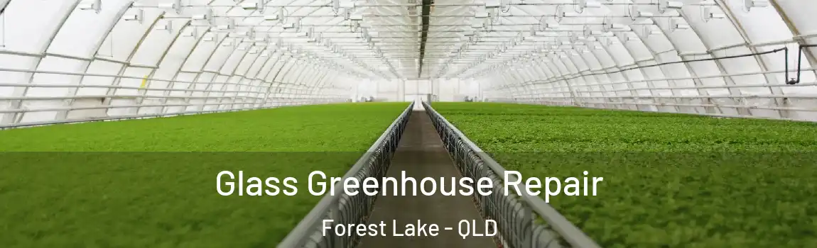 Glass Greenhouse Repair Forest Lake - QLD