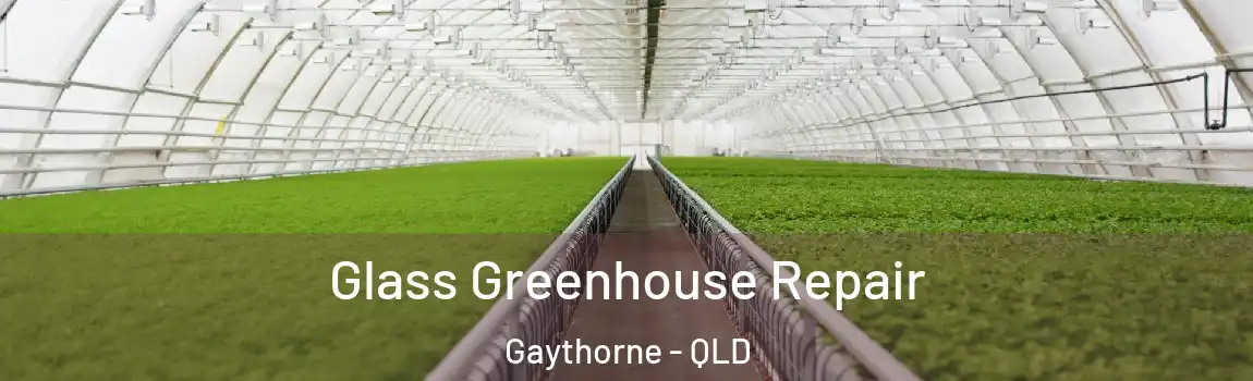  Glass Greenhouse Repair Gaythorne - QLD