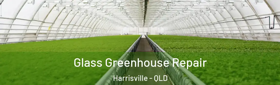  Glass Greenhouse Repair Harrisville - QLD