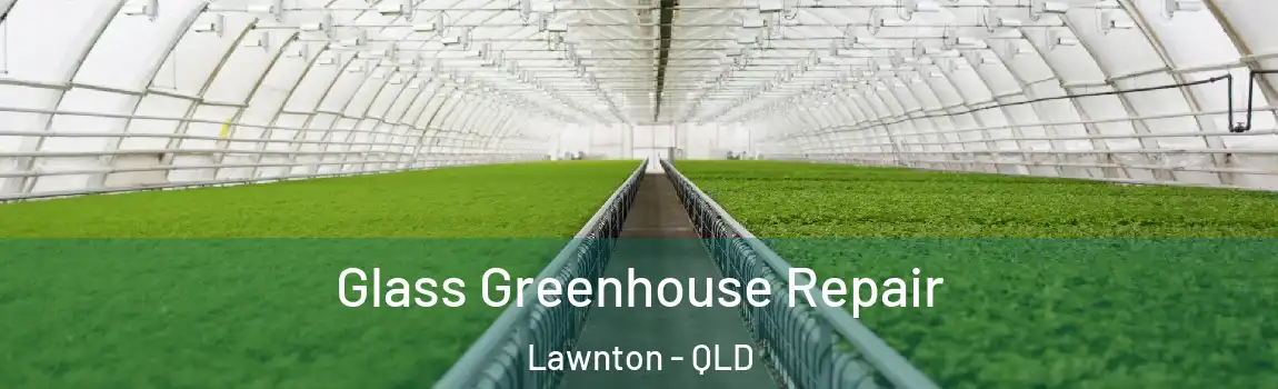  Glass Greenhouse Repair Lawnton - QLD