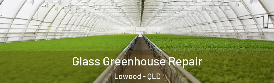 Glass Greenhouse Repair Lowood - QLD