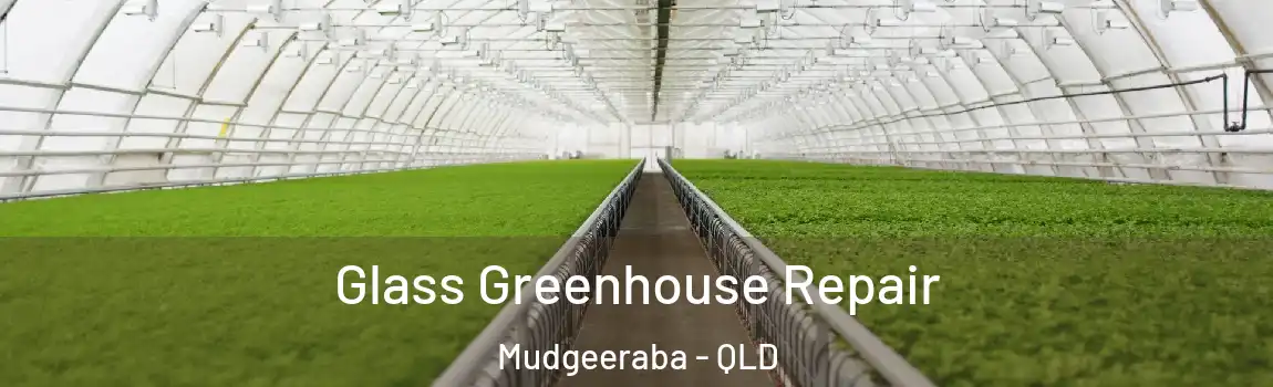 Glass Greenhouse Repair Mudgeeraba - QLD