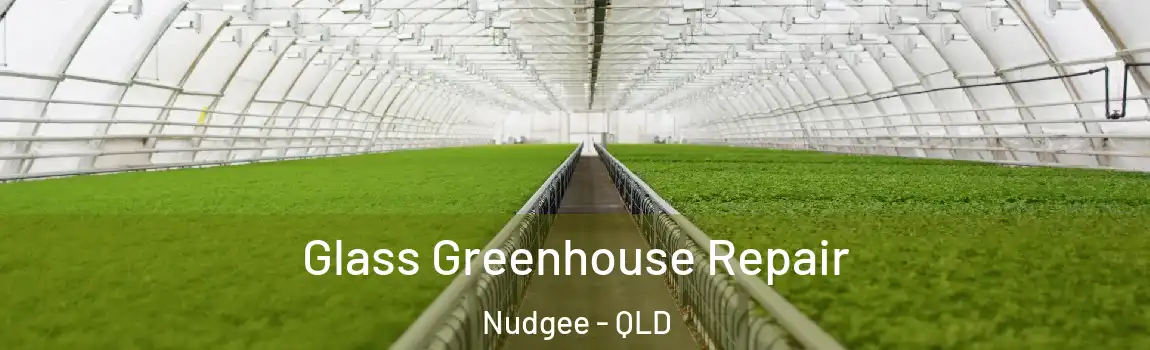 Glass Greenhouse Repair Nudgee - QLD